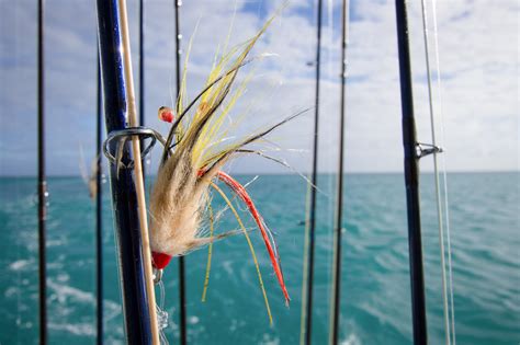 Alphonse Island Fly Fishing Itinerary .